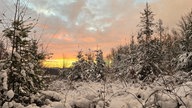Winterspaziergang