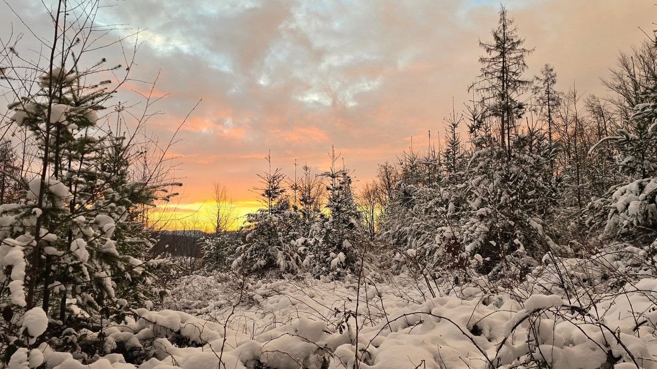 Winterspaziergang