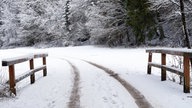 Winterspaziergang
