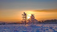 Winterspaziergang
