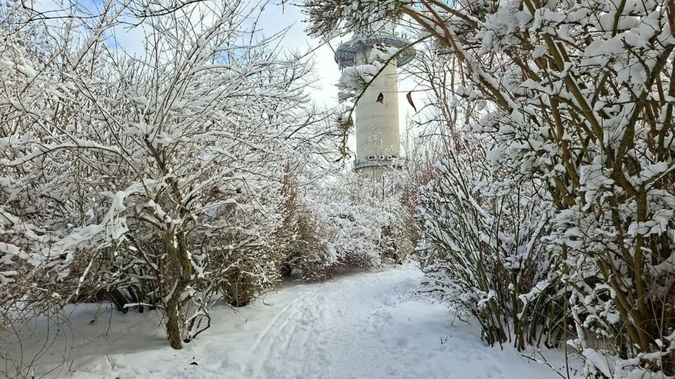 Winterspaziergang