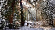 Winterspaziergang