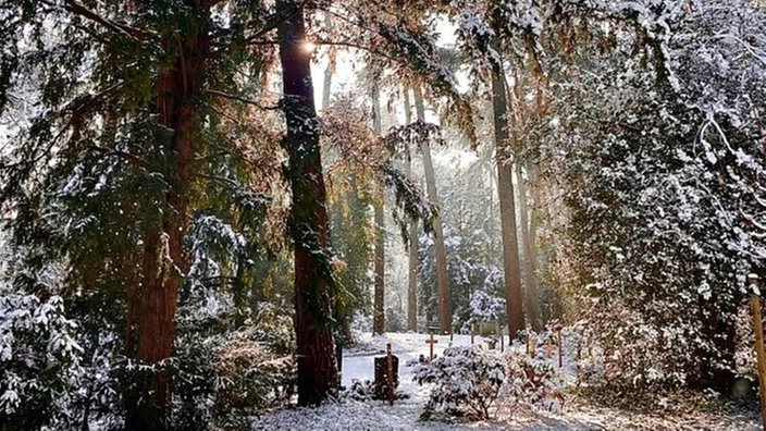 Winterspaziergang
