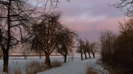 Winterspaziergang