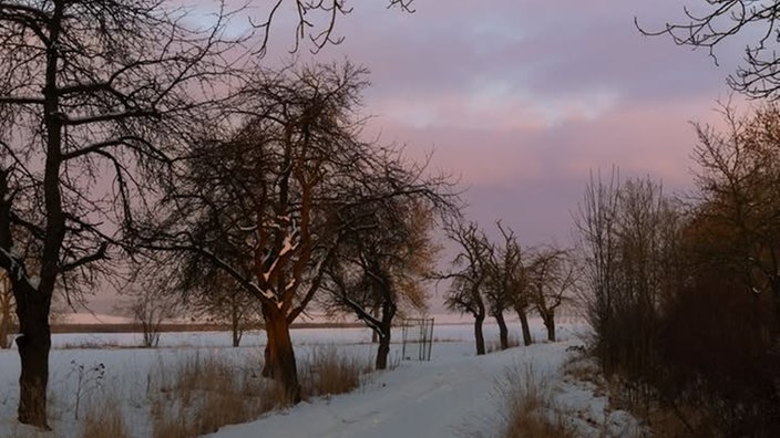 Winterspaziergang