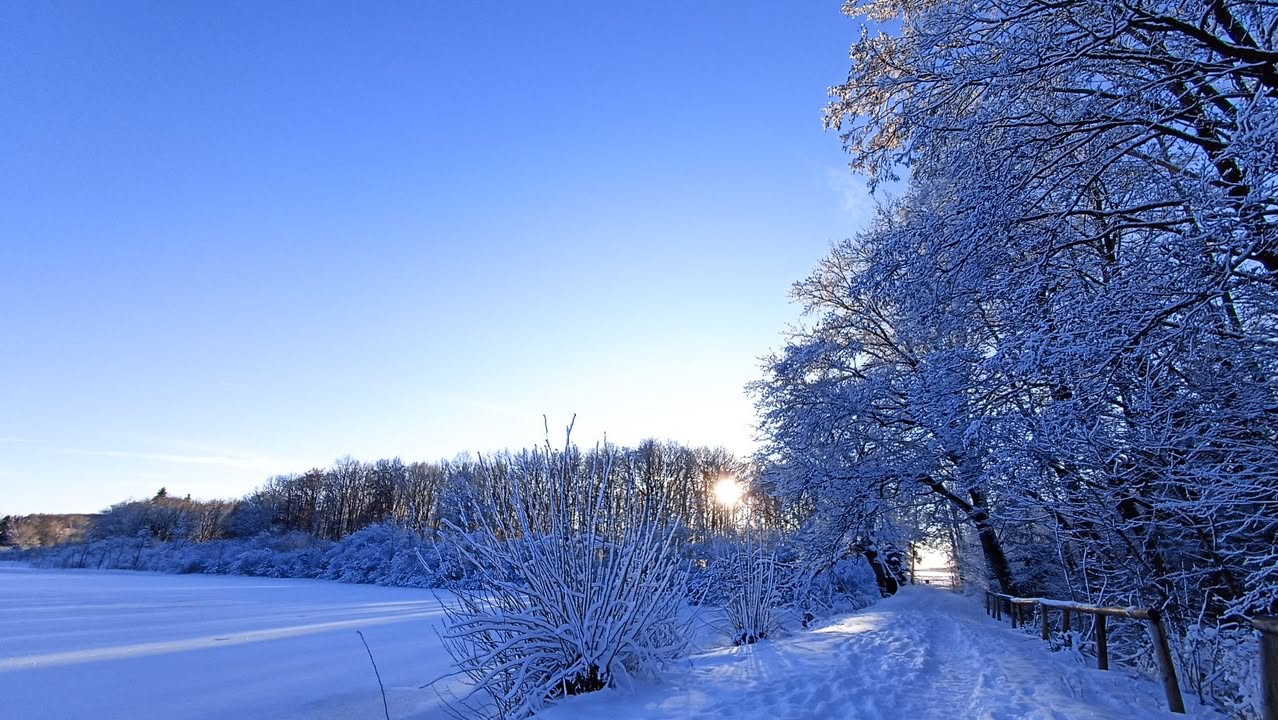 Winterspaziergang