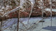 Winterspaziergang