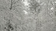 Winterspaziergang