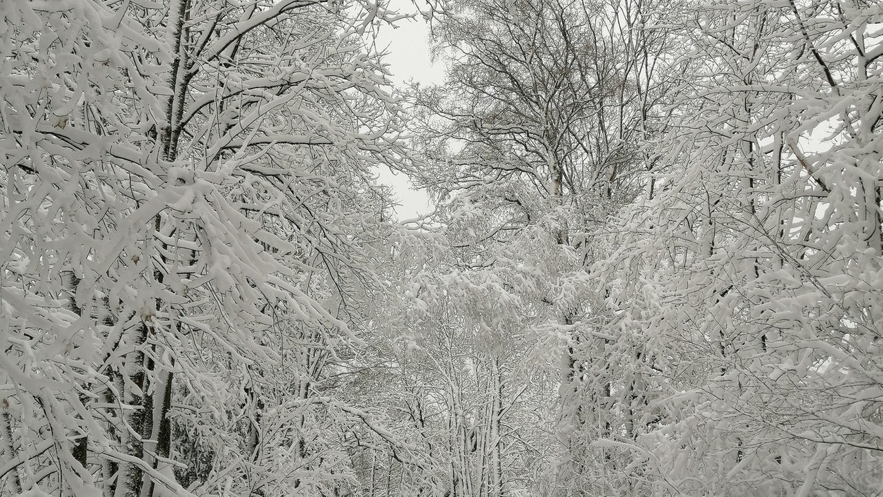 Winterspaziergang