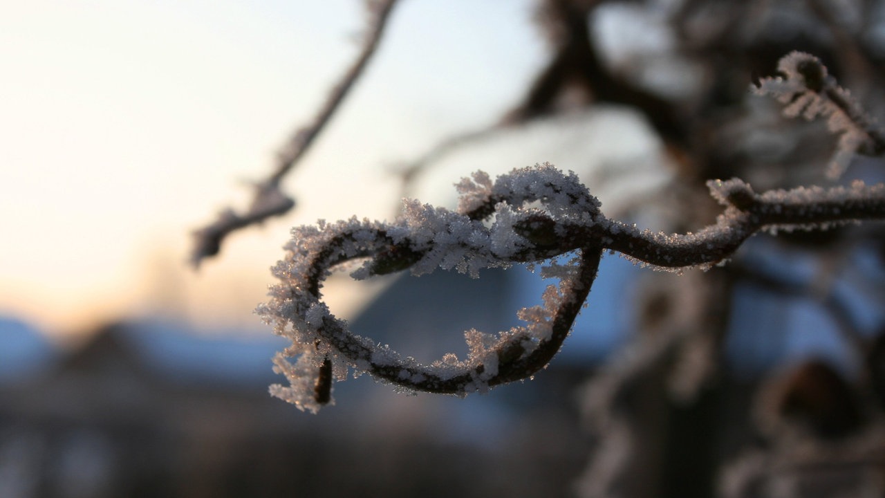 Winterspaziergang