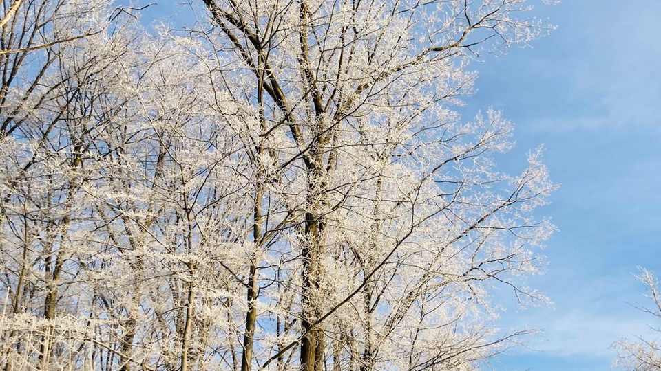 Winterspaziergang