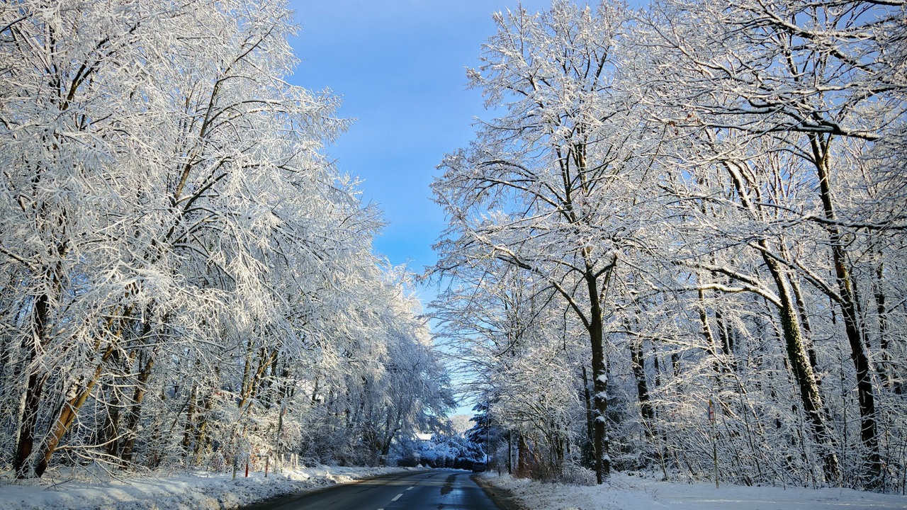 Winterspaziergang