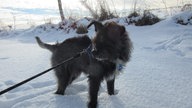 Winterspaziergang
