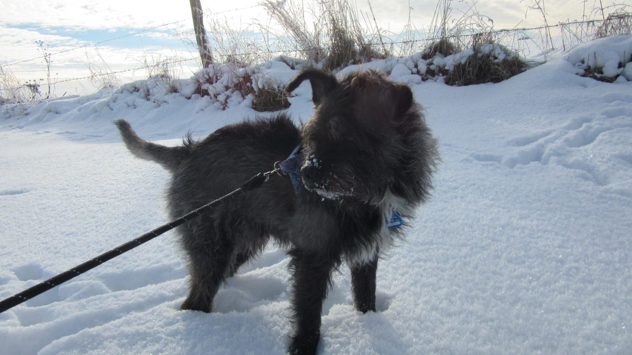 Winterspaziergang
