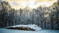 Winterspaziergang