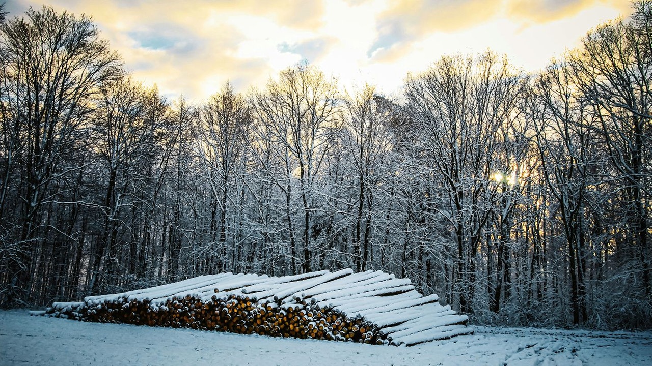 Winterspaziergang