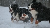 Winterspaziergang