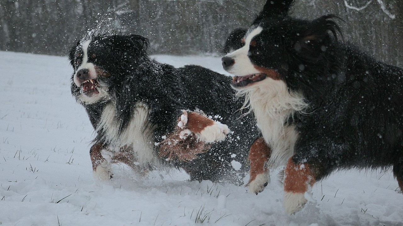 Winterspaziergang