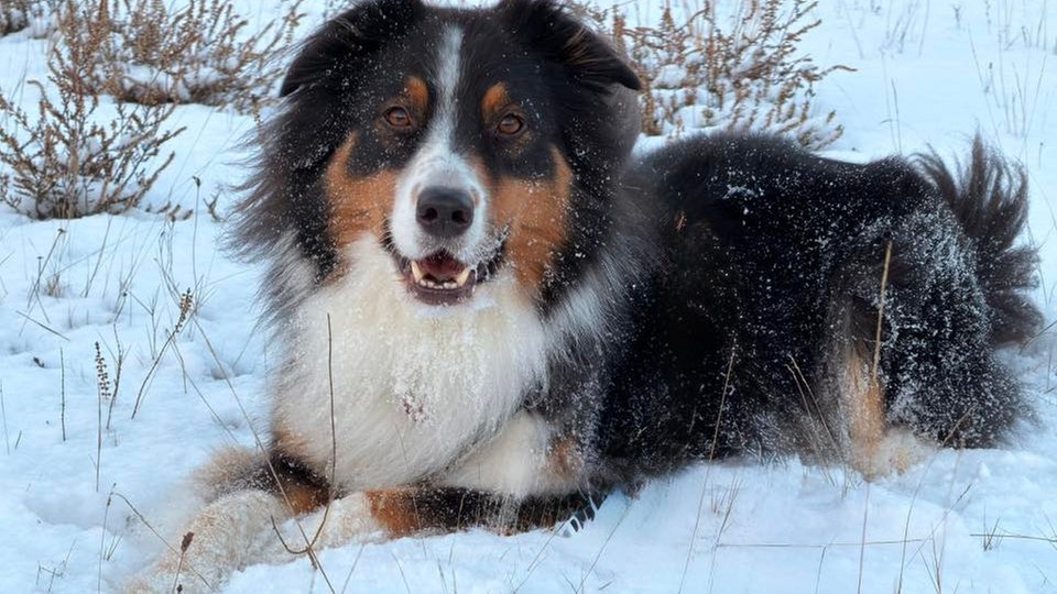 Winterspaziergang
