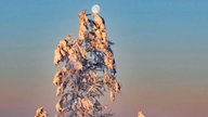 Winterspaziergang