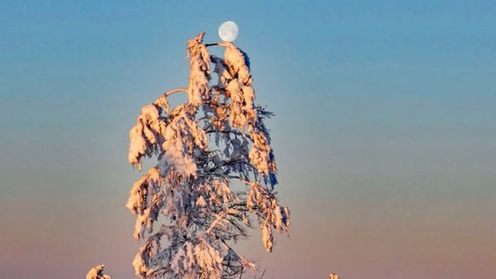 Winterspaziergang