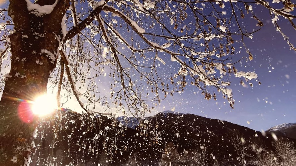 Winterspaziergang