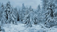Winterspaziergang
