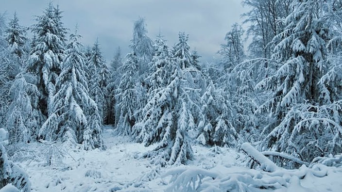 Winterspaziergang