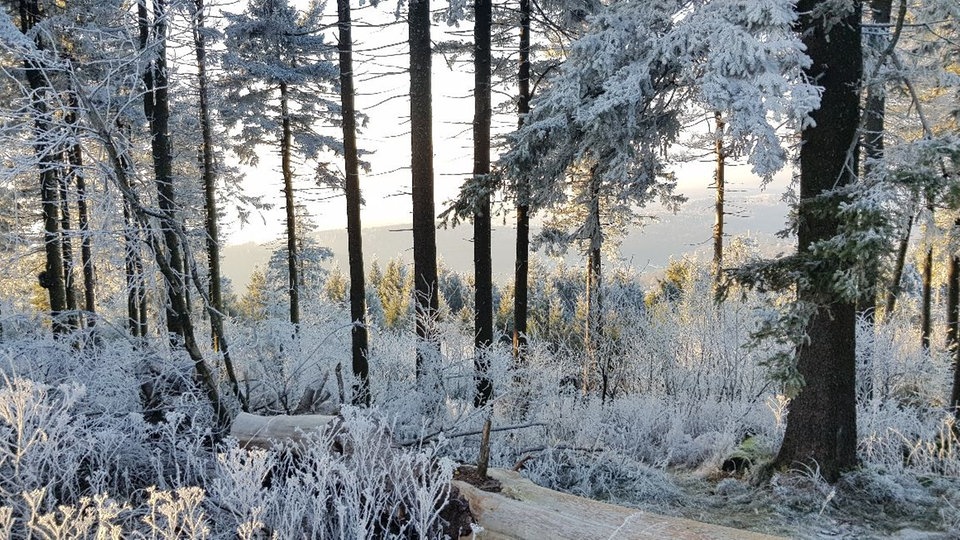Winterspaziergang