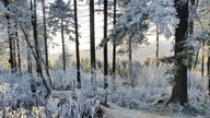 Winterspaziergang