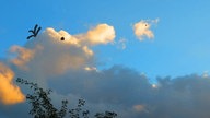 Wolken