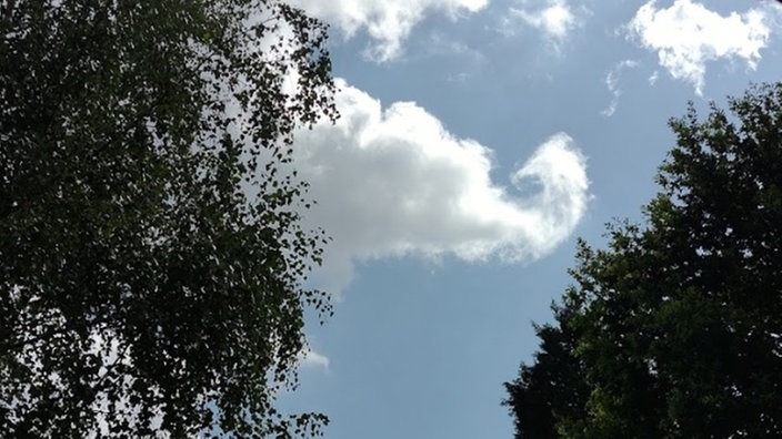 Wolken