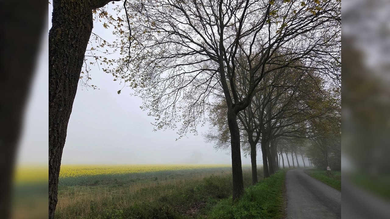 Zuschauerfoto Raps