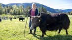 Andrea Meßmer auf der Yak-Weide.