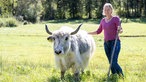 Andrea Meßmer mit einem Yak auf der Weide. 