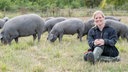 Annika Ahlers-Vincke mit Ibérico-Schweinen auf der Weide