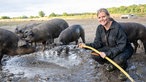 Annika Ahlers-Vincke duscht die Schweine ab