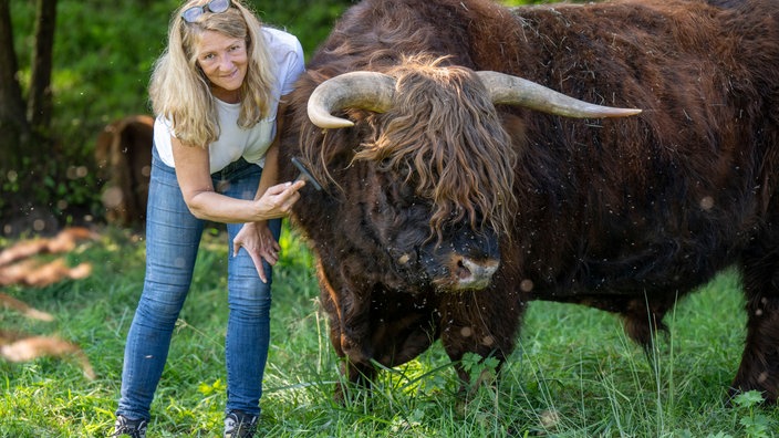 Christine Baumann kämmt das Fell von einem Hochlandrind.