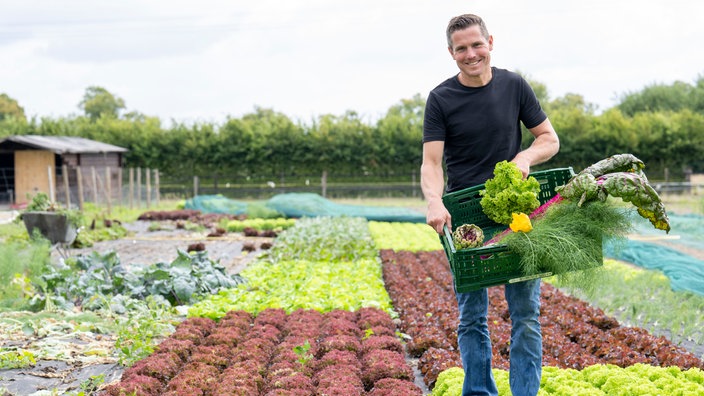  Henry Rohlmann auf dem Salatfeld mit einem Korb an Gemüse.