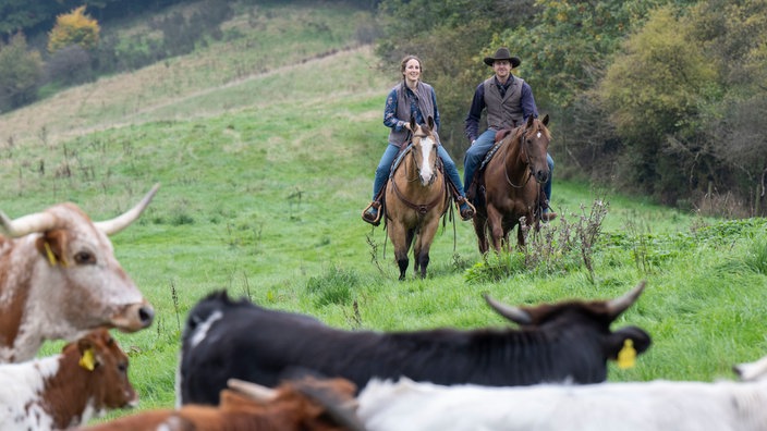 Katharina Deitmers mit ihrem Mann Helge auf der Weide mit Pferden und Longhorn Rindern