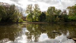 Ein See umrahmt von Bäumen im Landschaftspark Krefeld mit Blick auf das Gutshaus im Hintergrund