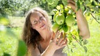  Laura Alena Schmid pflückt Äpfel vom Baum. 
