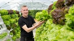 Michael Peine in seinem Gewächshaus mit hydroponischen Salat. 