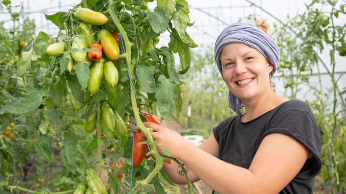 Rahel Kremershof bei den Tomaten. 