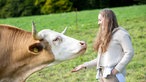 Verena Krimbacher bei den Ochsen auf der Weide. 