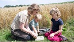 Victoria Görlich mit ihren Kindern auf dem Haferfeld. 