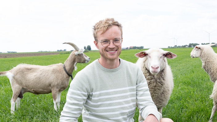 Dietmer Yntema inmitten seiner Schafe. 
