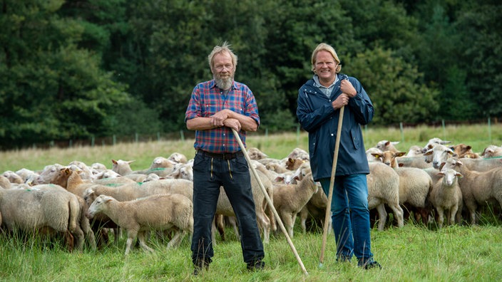 Joachim Koop und Björn Freitag umringt von Schafen. 