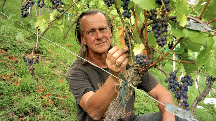 Kay Thiel in seinem Weinberg. 
