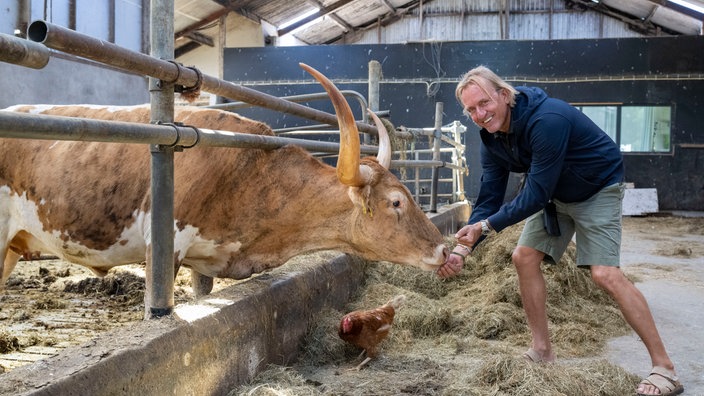 Frank Buchholz im Stall bei einem Longhorn-Stier. 